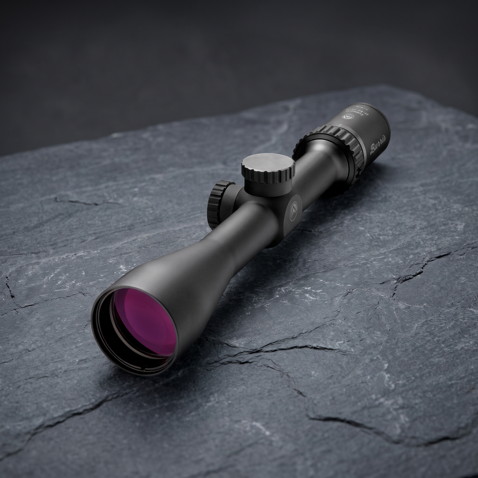 Burris Fullfield E1 3-9x40 rifle scope on a 1 inch tube, needing rings matched to the receiver