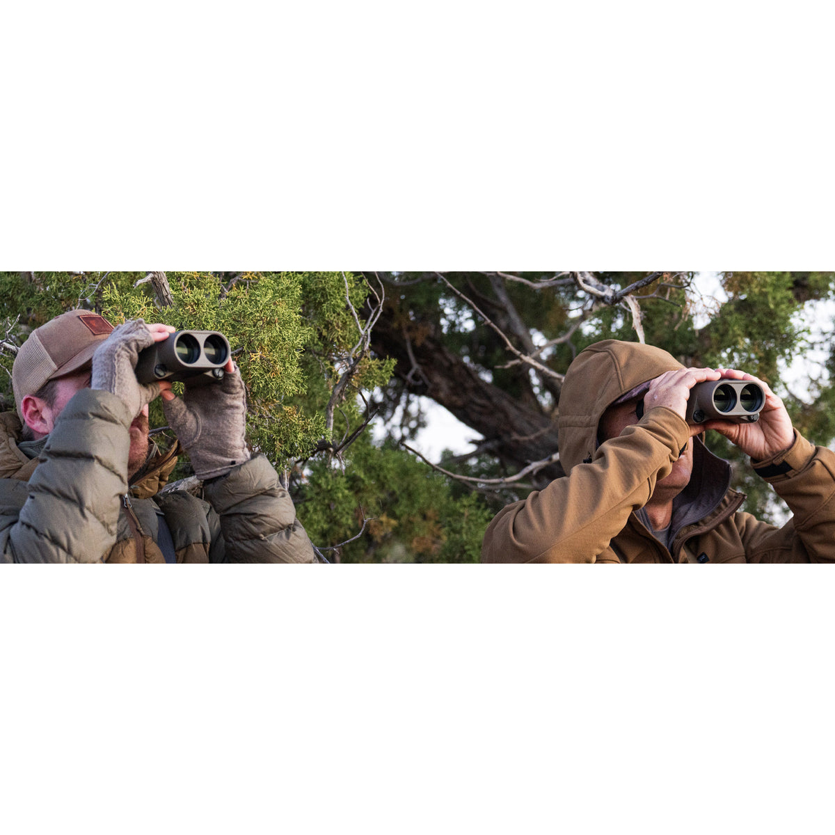 SIG Sauer ZULU6 HDX PRO 14x42 image stabilised 42mm binocular, manufacturer gallery image 2